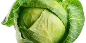 Cabbage