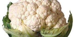 Fresh Cauliflower