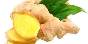 Fresh Ginger