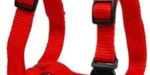 Pet Harnesses