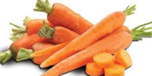 Carrot