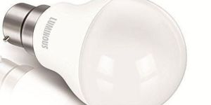 Luminous LED Bulb