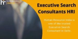 Executive Search Agencies