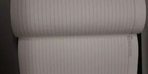 Executive Office Diary