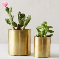 Brass Planter