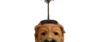 Small Puppy Face Planter