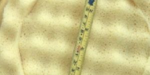 Hump round polish/cleaning sponge