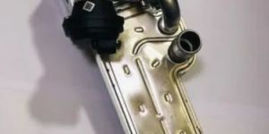 Egr Valve