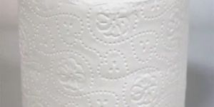 Plain Toilet Paper Roll