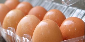 Poultry Products Packaging Tray