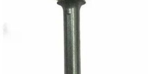 Caliper Bolt