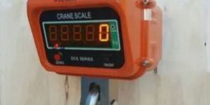 Crane Scale