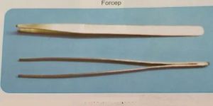 Toothed Tissue Forcep
