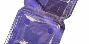 250g Double Layered Strawberry Plastic Punnet