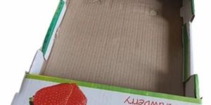 2kg Strawberry Packaging Box
