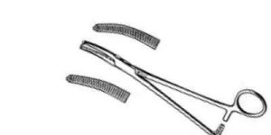 Hysterectomy Forceps