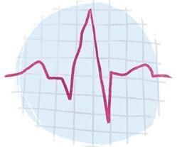 ECG Facility Service