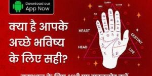 Palmistry Services
