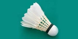 Badminton Shuttlecock