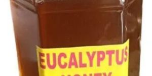 Pure Eucalyptus Honey