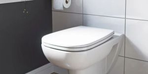 Wall Hung Western Toilet Seat