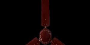 Usha Ceiling Fan