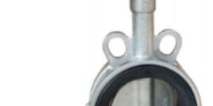 SUPER DUPLEX WAFER BUTTERFLY VALVE