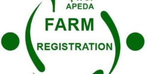 Apeda Registration Service