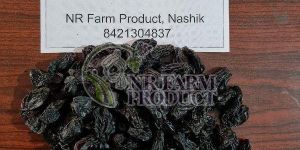 Premium Black Raisins