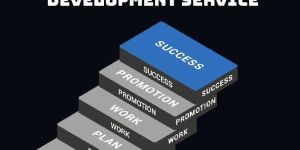 Stair Step Plan MLM Software Development Service
