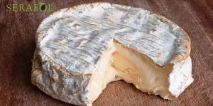 Camembert Cheese