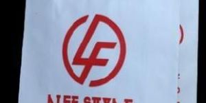 Promotional Paper Bags