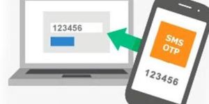 Web Button OTP Software