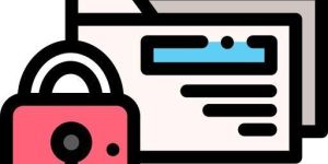 Web Document Locker Software