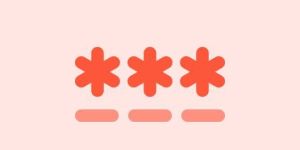 Web Field Encrypt Software