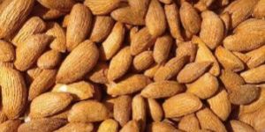 Almond Kernels
