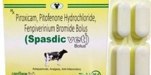 Lornoxicam and Paracetamol Bolus Tablet