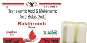 Tranexamic Acide and Mefenamic Acid Bolus Tablet