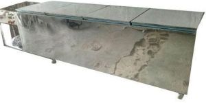 Ice Cream Candy Plant