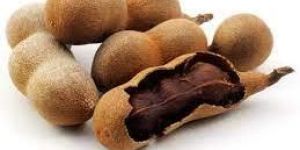 Tamarind Pods
