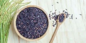 Organic Black Rice