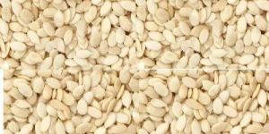 Organic Watermelon Seed