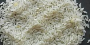 White Short Grain Kalanamak Rice