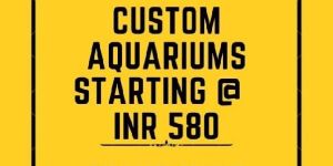 Aquariums