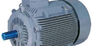 Crane Duty Hoist Motor