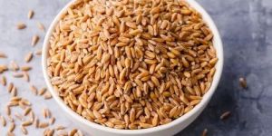 Natural Wheat Seeds