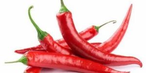 Fresh Red Chili