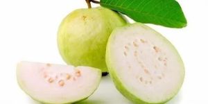 Fresh Thai Guava