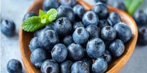 Imported Fresh Blueberry