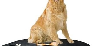 Navy Blue 42 Inch Dog Mattress